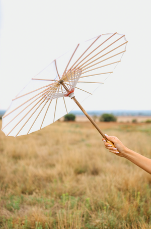 White Paper Umbrella